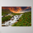 Recherche de montagnes cascade posters Fleur sauvage