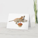 Recherche de bull terrier anniversaire cartes Animaux domestiques