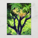 Recherche de gouttes de pluie cartes postales Printemps