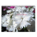Recherche de oeillet bureau fournitures Fleurs