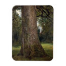 Recherche de arbre magnets Tronc