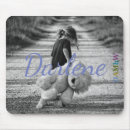 Recherche de ours noir et blanc tapis souris Tendance