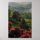 Recherche de fin posters Nature