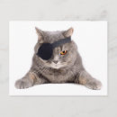 Recherche de bandages posters Chat