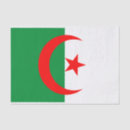 Recherche de drapeau l algérie travaux manuels fêtes Afrique