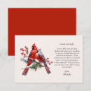 Recherche de oiseau rouge vœux cartes Cardinaux