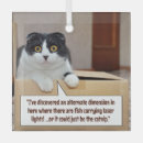 Recherche de noël drôle autres Chats