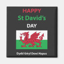 Recherche de drapeau pays galles magnets Souillé