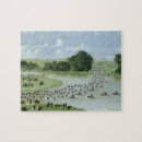 Recherche de indie puzzles Sud