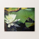 Recherche de grenouille puzzles Nature
