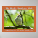 Recherche de bird nature posters Birder