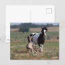 Recherche de gypsy cartes postales Chevaux