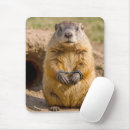 Recherche de marmottes tapis souris Rongeur