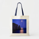 Recherche de lumière de lune sacs Superstock