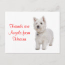 Recherche de westies cartes postales Terrier west highland