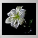 Recherche de digit posters Numérique