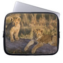 Recherche de lion de bébé électronique Ourson