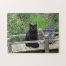 Recherche de black cat puzzles Chat