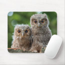 Recherche de hibou bébé tapis souris Oiseau