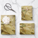 Recherche de numérique papier cadeau Noël
