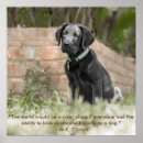 Recherche de marionnette posters Labrador