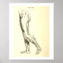Recherche de anatomie vintage posters Illustration
