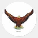 Recherche de oiseaux en vol autocollants Aigle chauve