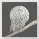 Recherche de pierre de la lune Peinture