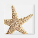 Recherche de animaux marins magnets Vie marine