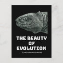 Recherche de darwin postcards cartes postales Évolution