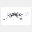 Recherche de suceur de sang autocollants Insecte