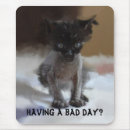 Recherche de laid tapis souris Chat