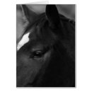 Recherche de noire de profil vœux cartes Profile