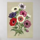 Recherche de bouquet roses rouges posters Pour elle