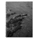 Recherche de roches photographie Océan
