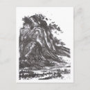 Recherche de rocailleux cartes postales Paysage