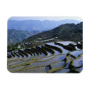 Recherche de accident magnets Paysage