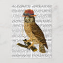 Recherche de owl cartes postales antique