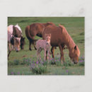 Recherche de gobi cartes postales Asie