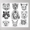 Recherche de croquis de lion posters Dessin