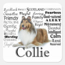 Recherche de rugueux autocollants Colley