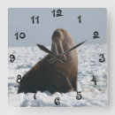 Recherche de morse animal art Arctique