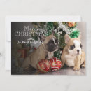 Recherche de canine christmas vœux cartes Breed