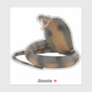 Recherche de reptilien autocollants Pour tous