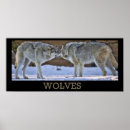 Recherche de grondement posters Animal