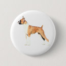 Recherche de boxeurs de badges Chien