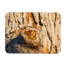 Recherche de chouettes magnets Hibou