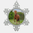 Recherche de funny animal ornements Pour elle