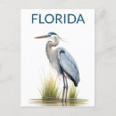 Recherche de heron cartes postales Floride