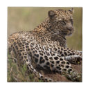 Recherche de tanzanie carreaux Mammifère